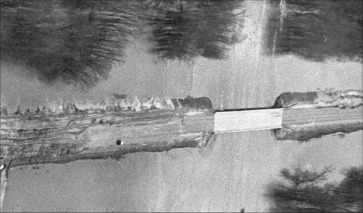 From Tribune files: Photos from the Great Flood of 1965